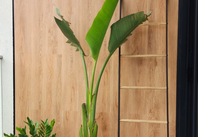 Apartamento en Nosara - B21 - Condo Bismarckia Apartamento en Nosara - B21 - Condo Bismarckia